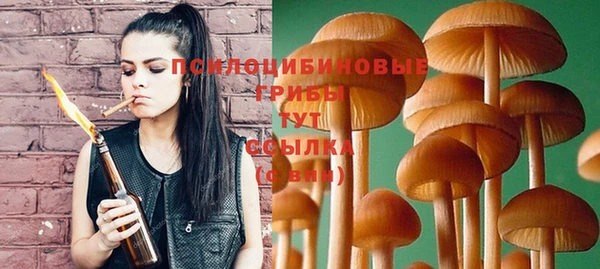 mix Абаза