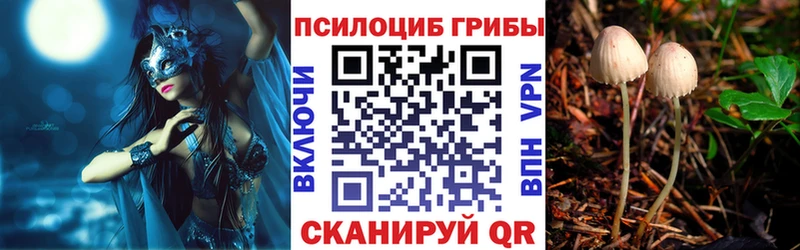 Галлюциногенные грибы прущие грибы  блэк спрут ONION  Стерлитамак 